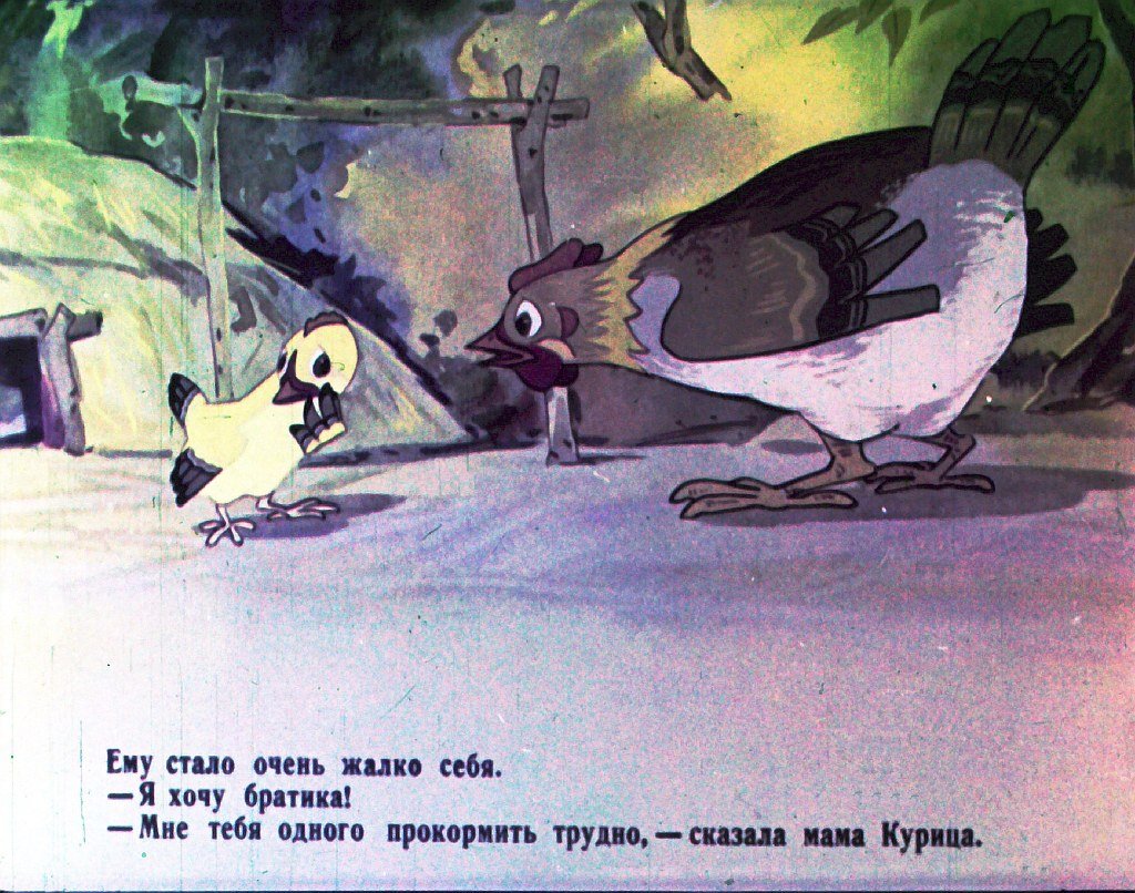 Кадр 3 диафильма «Я цыпленок, ты цыпленок. Часть 1»