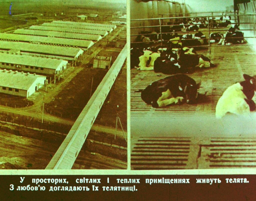 Кадр 3 диафильма «Кем быть? Часть 2»