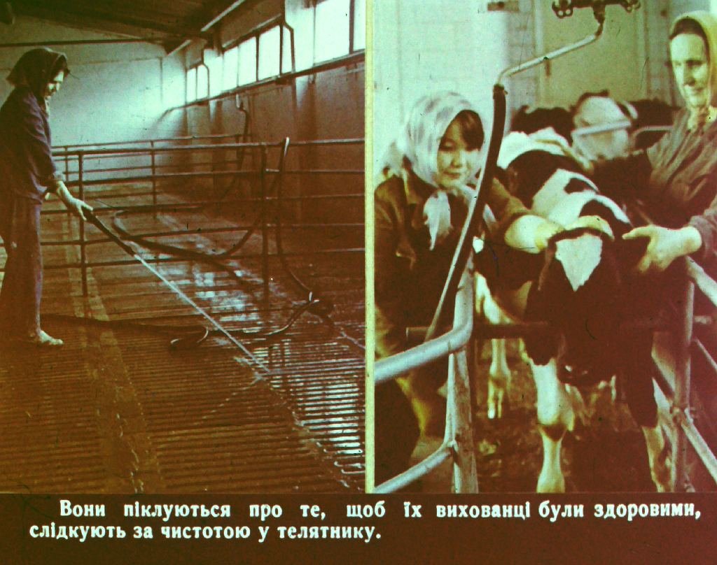 Кадр 4 диафильма «Кем быть? Часть 2»