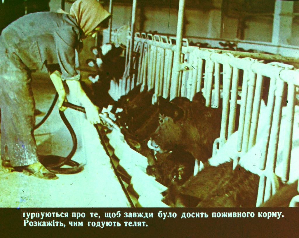Кадр 5 диафильма «Кем быть? Часть 2»