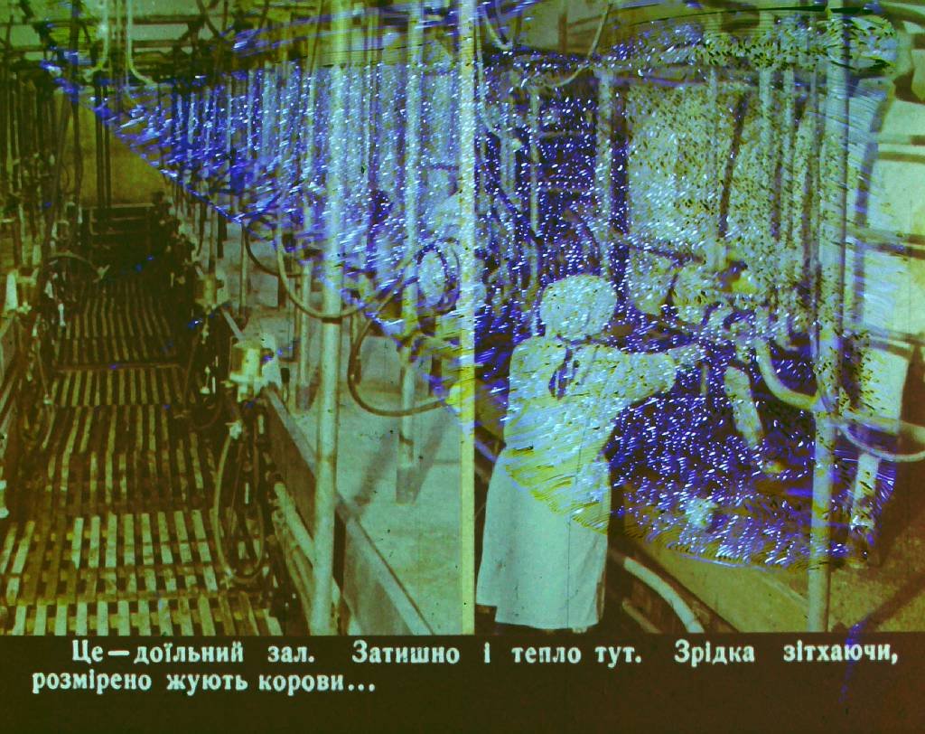 Кадр 7 диафильма «Кем быть? Часть 2»