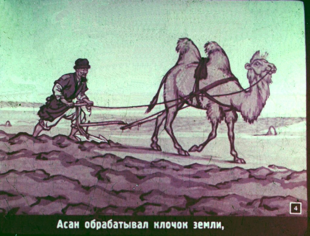 Кадр 4 диафильма «Чудесный сад»