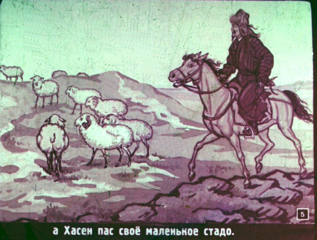 Кадр 5 диафильма «Чудесный сад»