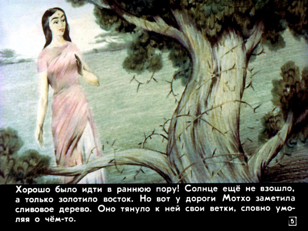 Кадр 5 диафильма «Мотхо и Мунго»