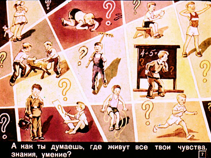 Кадр 7 диафильма «Где живет твой ум»