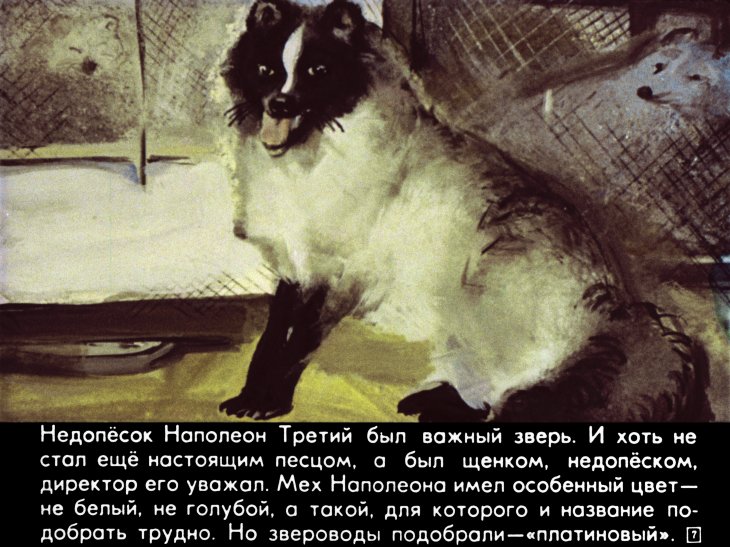 Кадр 7 диафильма «Недопесок. Часть 1»
