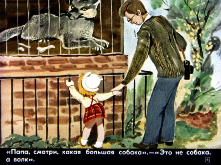 Кадр 6 диафильма «В зоопарке»