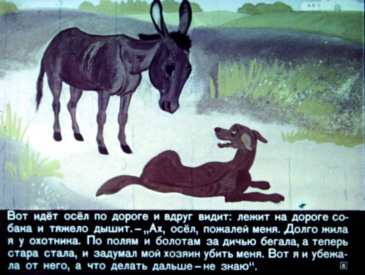 Кадр 6 диафильма «Бременские музыканты»