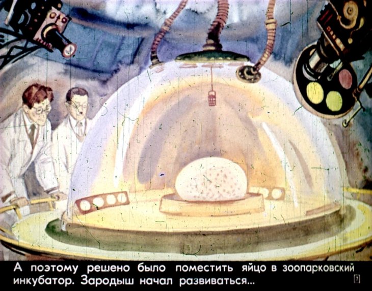 Кадр 6 диафильма «Девочка из XXI века»