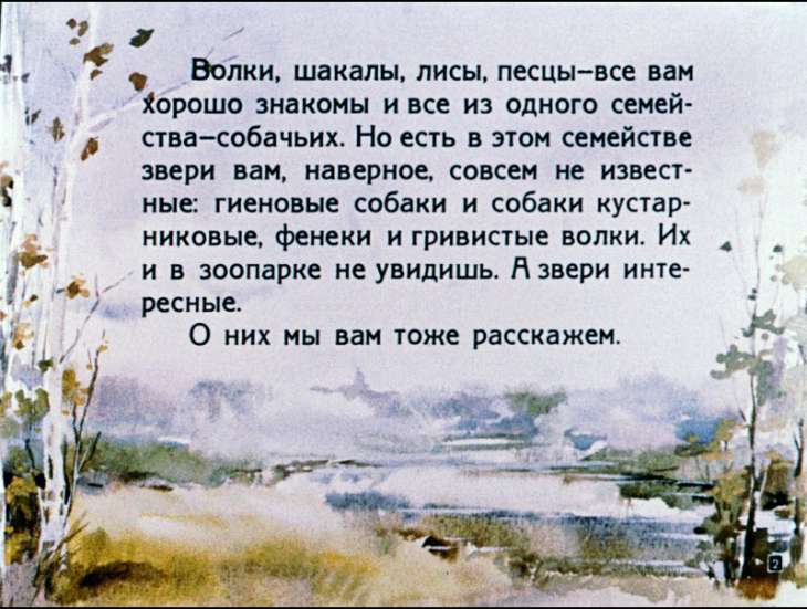 Кадр 2 диафильма «Это все собаки»