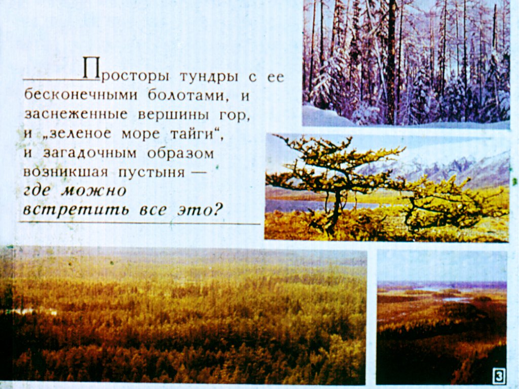 Кадр 3 диафильма «Сибирь»