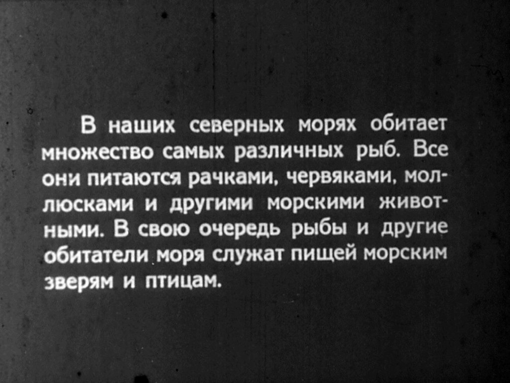 Кадр 1 диафильма «Во льдах океана. Часть 2»