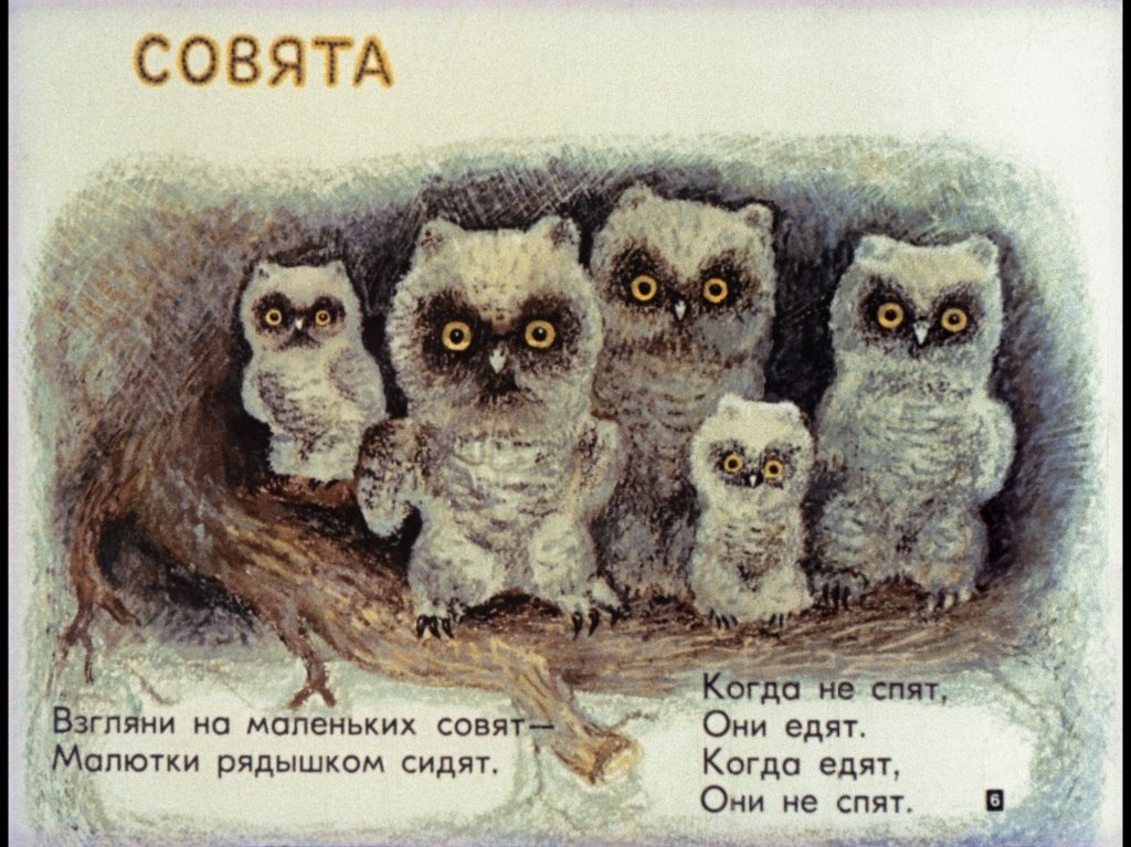 Кадр 6 диафильма «Детки в клетке»