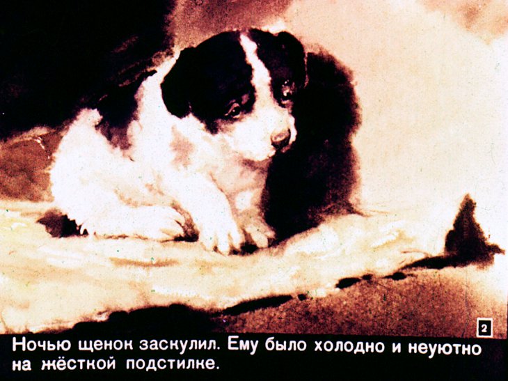 Кадр 2 диафильма «Сенька»