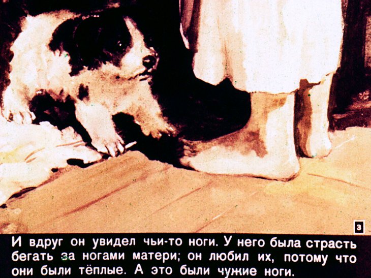 Кадр 3 диафильма «Сенька»