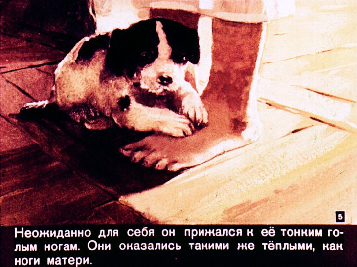Кадр 5 диафильма «Сенька»