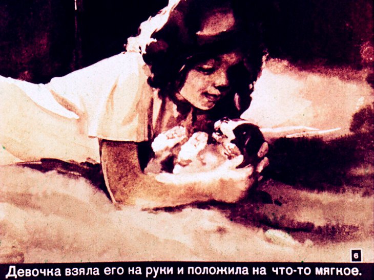 Кадр 6 диафильма «Сенька»
