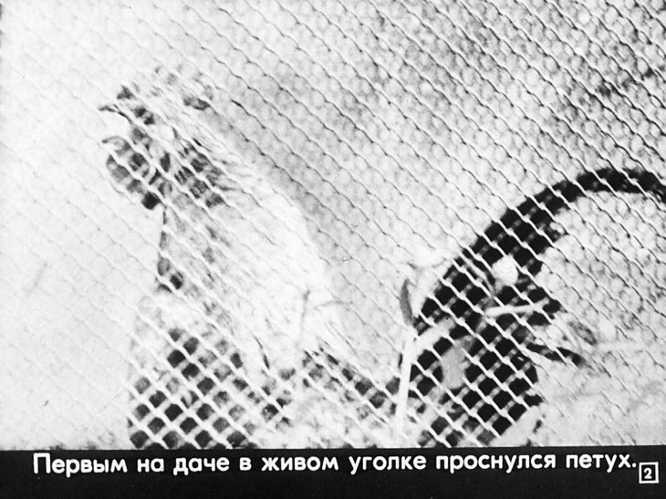 Кадр 2 диафильма «Своими руками все делаем сами»