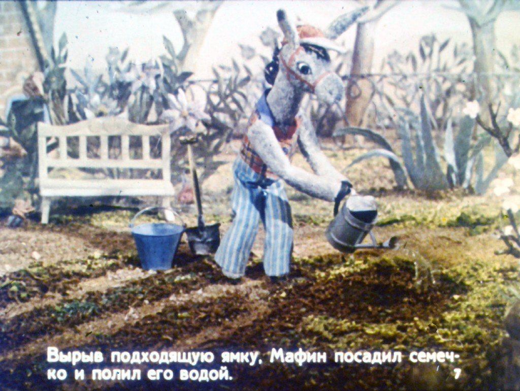 Кадр 7 диафильма «Мафин и тыква»