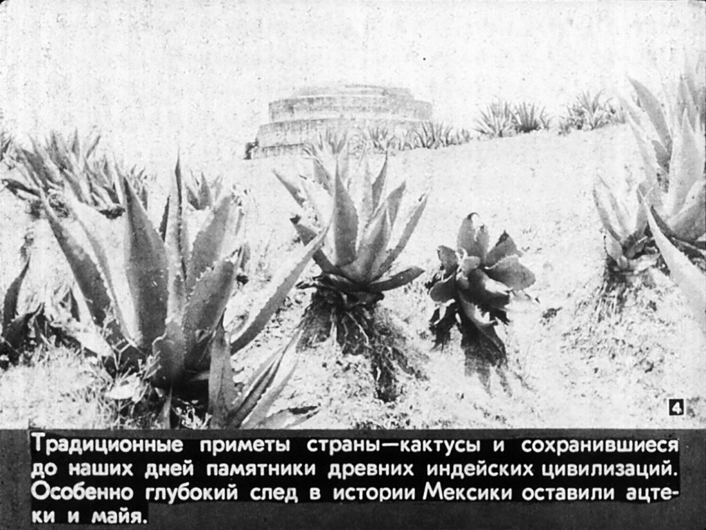 Кадр 4 диафильма «Мексика»