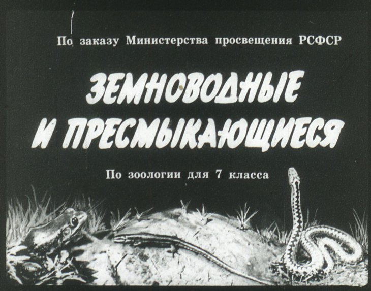 Кадр 1 диафильма «Земноводные и пресмыкающиеся»