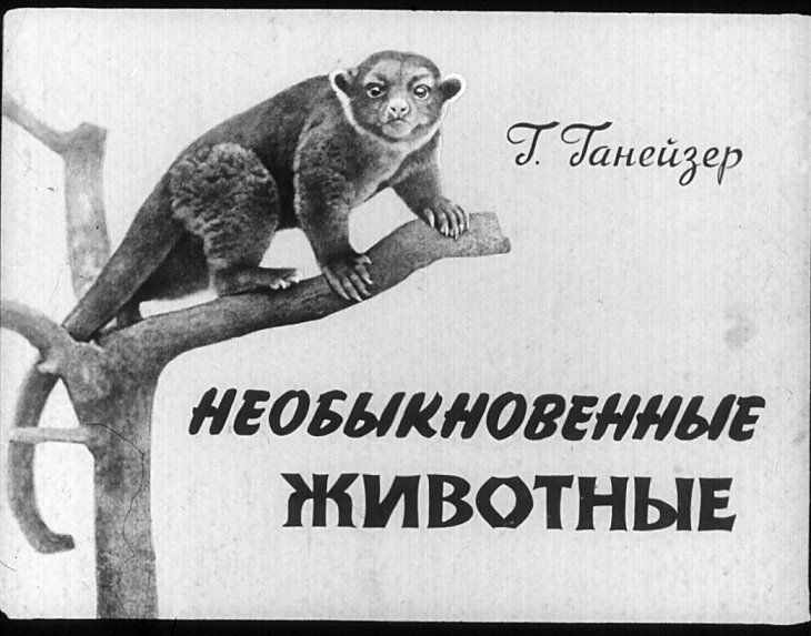 Кадр 1 диафильма «Необыкновенные животные»