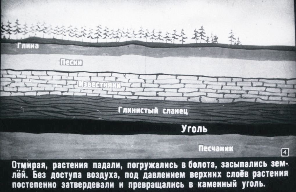 Кадр 4 диафильма «Каменный уголь»