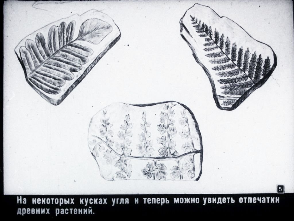 Кадр 5 диафильма «Каменный уголь»