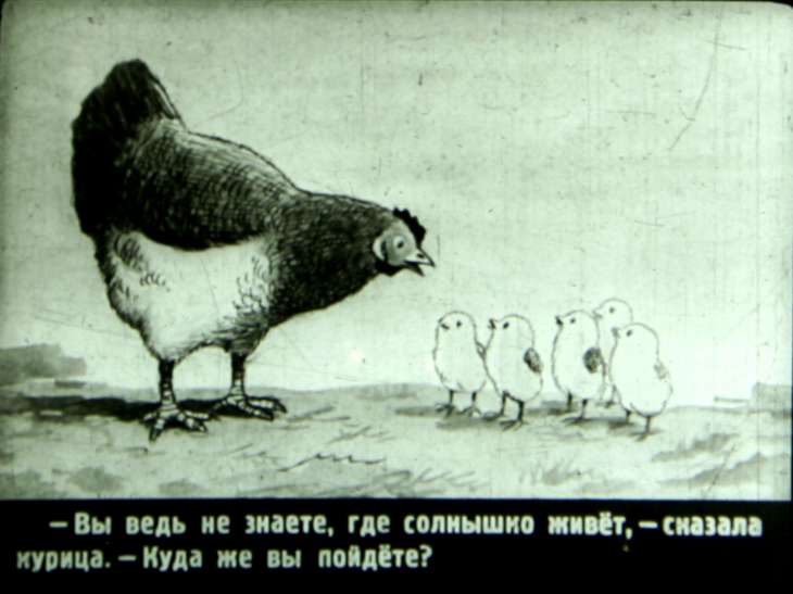 Кадр 5 диафильма «У солнышка в гостях»