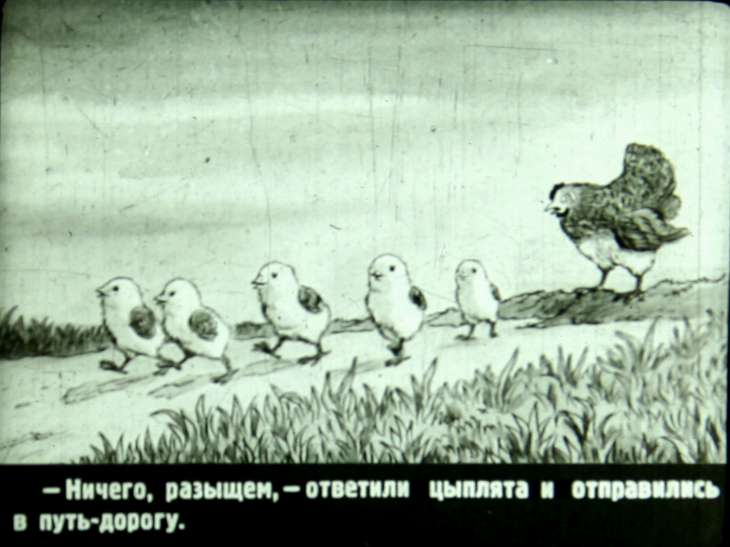 Кадр 6 диафильма «У солнышка в гостях»