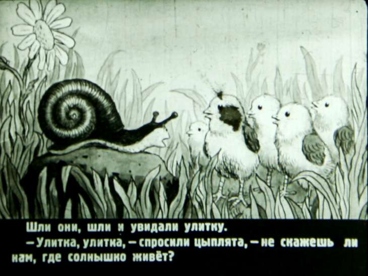 Кадр 7 диафильма «У солнышка в гостях»