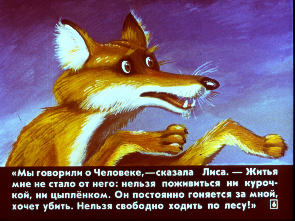 Кадр 6 диафильма «Человек и царь зверей»