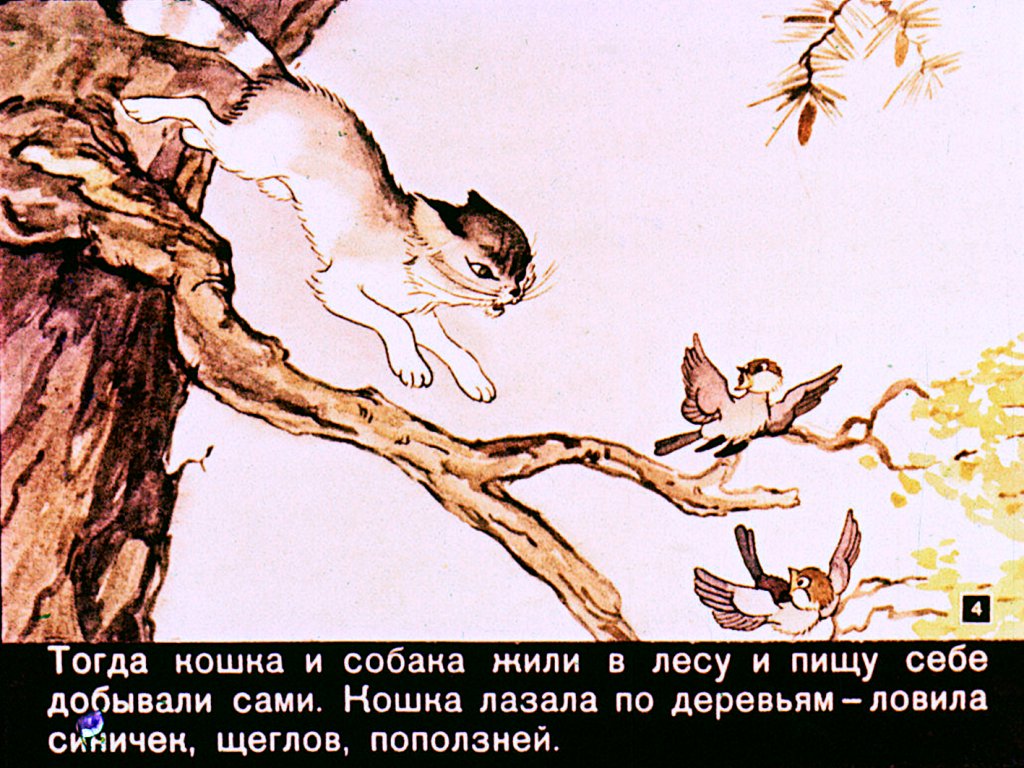 Кадр 4 диафильма «Как кошка с собакой дружить перестали»