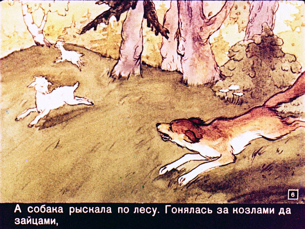 Кадр 6 диафильма «Как кошка с собакой дружить перестали»