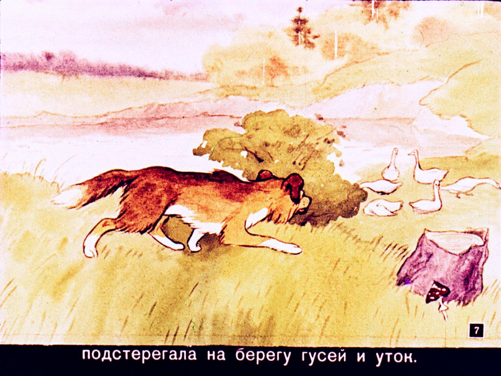 Кадр 7 диафильма «Как кошка с собакой дружить перестали»