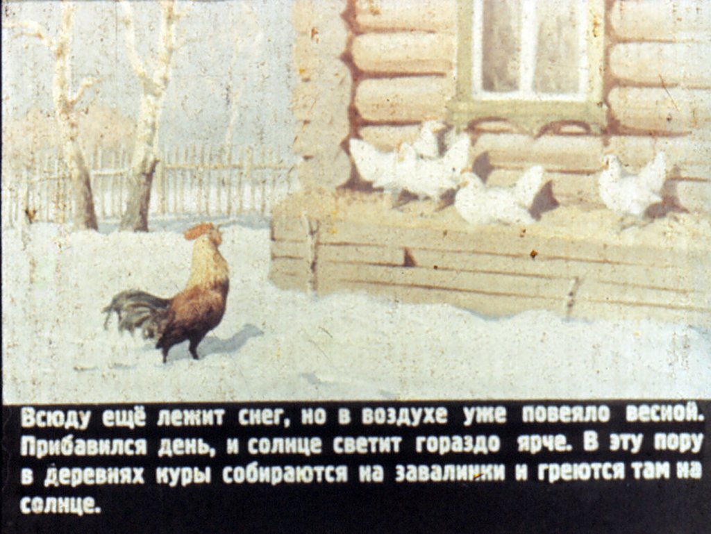 Кадр 2 диафильма «Кто как весну встречает»