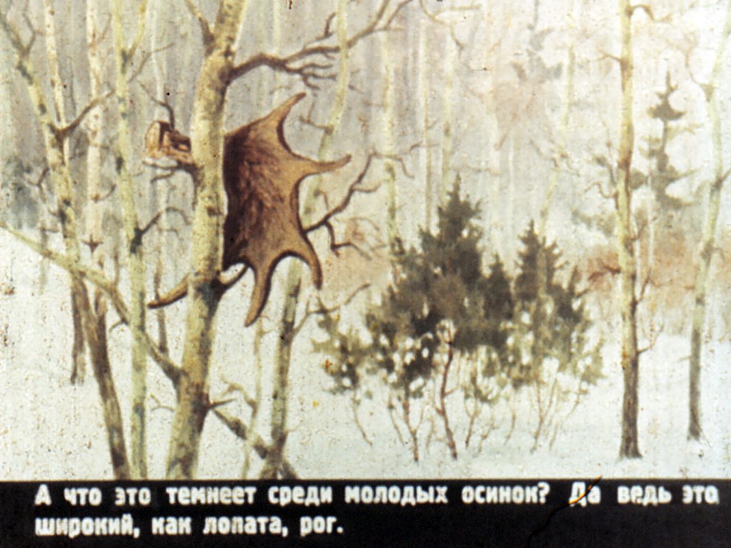 Кадр 6 диафильма «Кто как весну встречает»