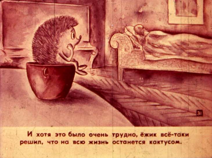 Кадр 6 диафильма «Кактус. Часть 2»