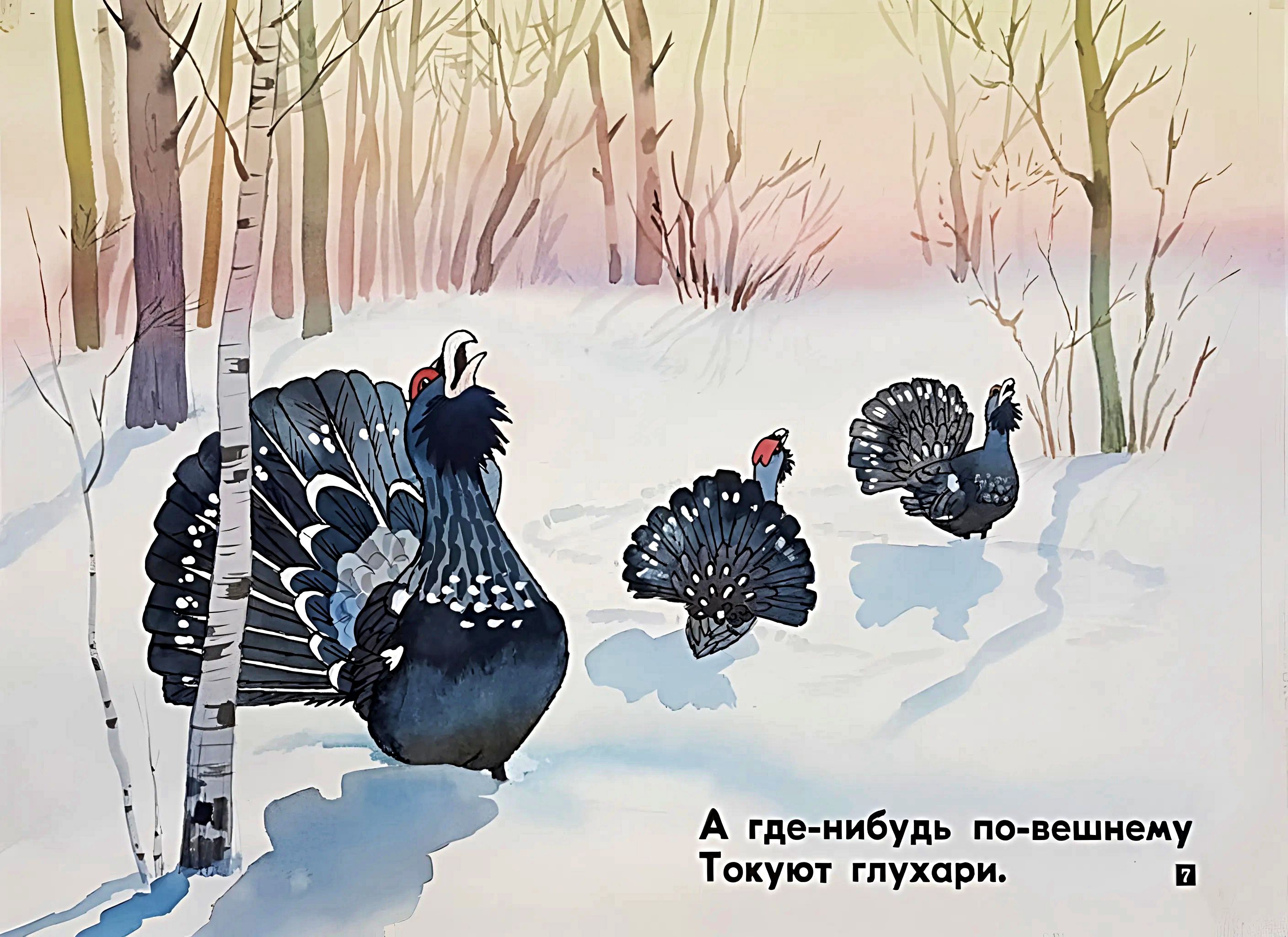 Кадр 7 диафильма «Под солнцем пляшет девочка»