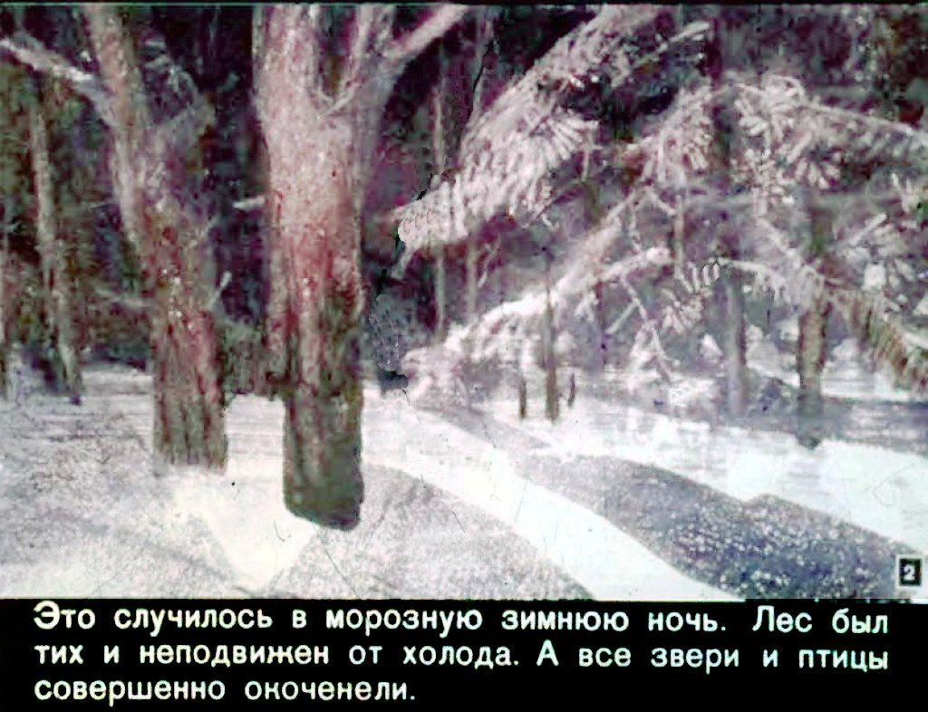 Кадр 2 диафильма «Звездный мальчик»