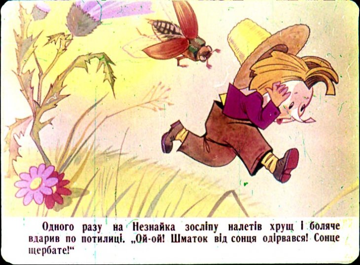 Кадр 6 диафильма «Путешествие малышей из Цветочного города»