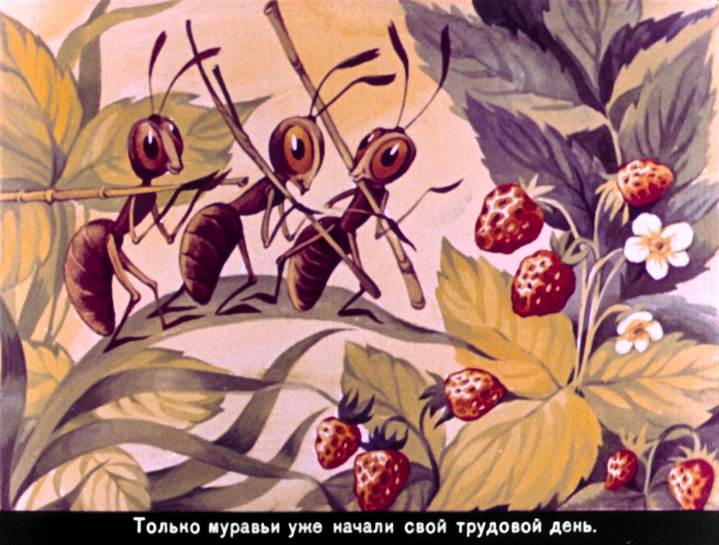 Кадр 4 диафильма «Как поживаешь, зайчишка Пушишка?»
