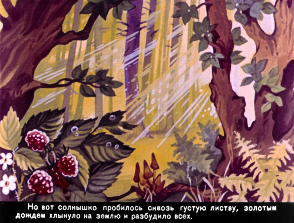 Кадр 5 диафильма «Как поживаешь, зайчишка Пушишка?»