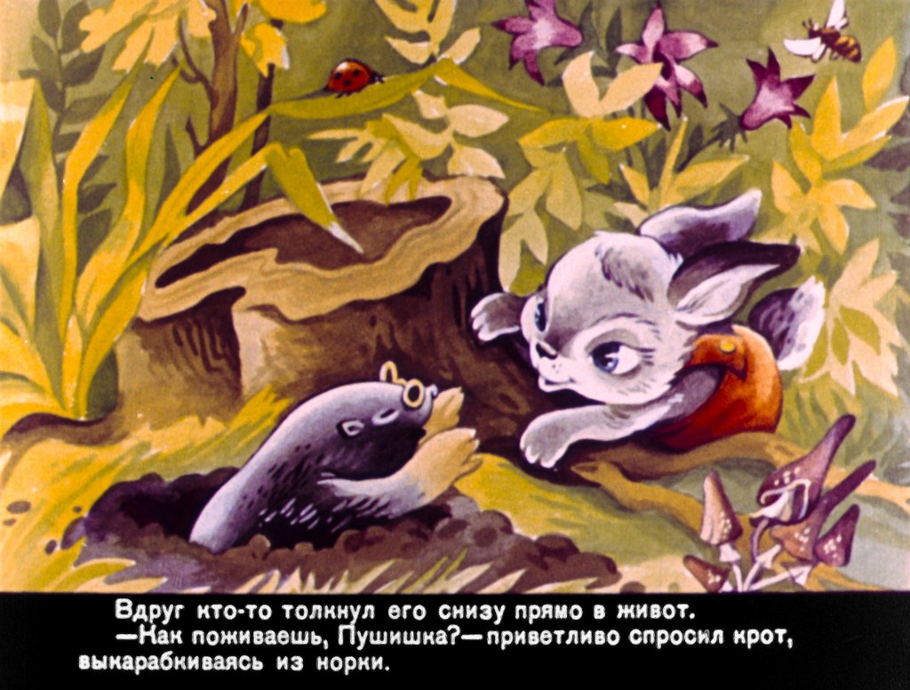 Кадр 7 диафильма «Как поживаешь, зайчишка Пушишка?»
