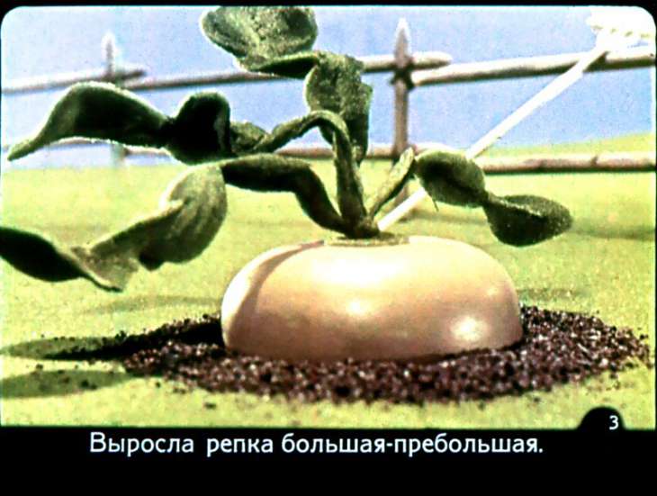 Кадр 3 диафильма «Репка»
