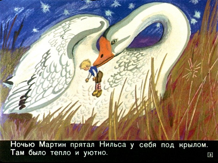 Кадр 3 диафильма «Чудесное путешествие Нильса с дикими гусями. Часть 2»