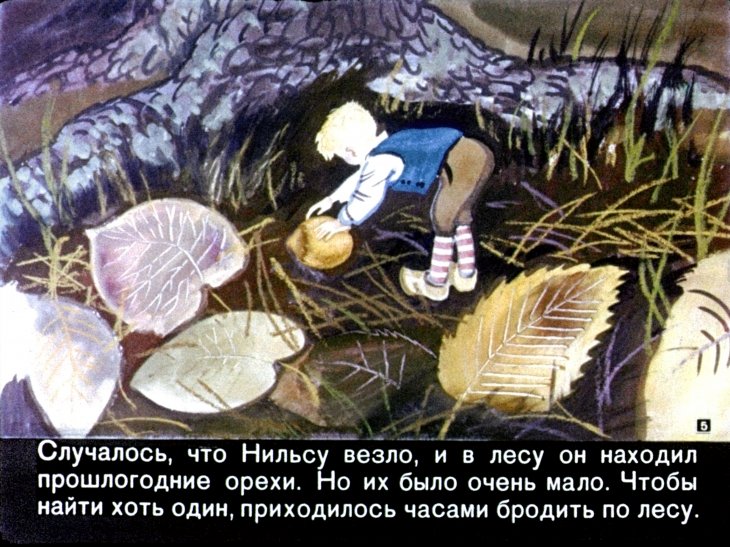 Кадр 5 диафильма «Чудесное путешествие Нильса с дикими гусями. Часть 2»