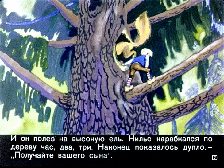 Кадр 7 диафильма «Чудесное путешествие Нильса с дикими гусями. Часть 2»