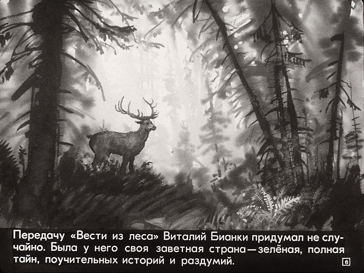 Кадр 6 диафильма «Двести фамилий»