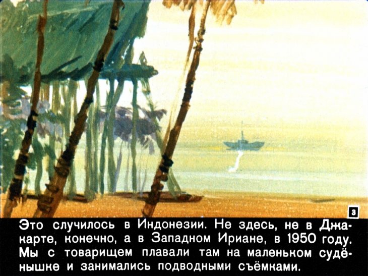 Кадр 3 диафильма «Хозяин бухты»